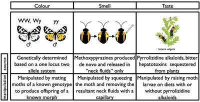 Multimodal Aposematic Defenses Through the Predation Sequence